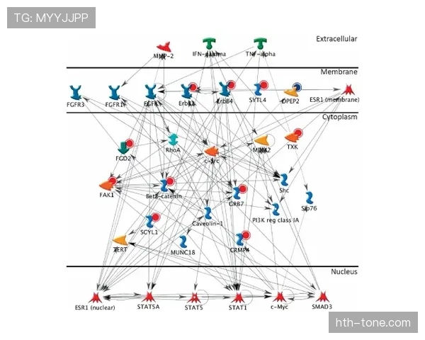 坎塞洛与沃克：技术特点与防守路线对比分析